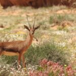 ALULA RECOGNISED TWICE IN TIME’S 2024 ‘WORLD’S GREATEST PLACES’ AWARDS