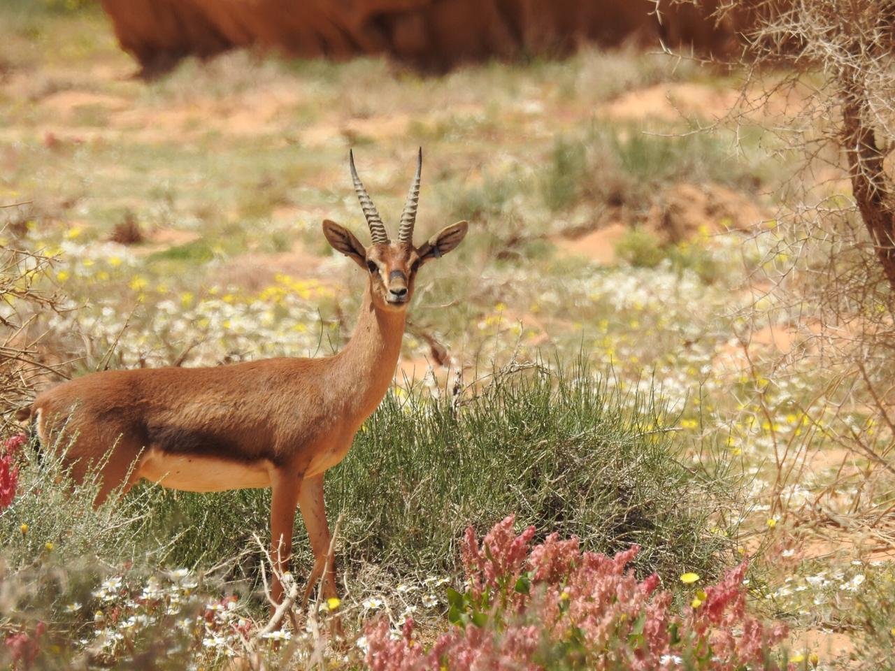 ALULA RECOGNISED TWICE IN TIME’S 2024 ‘WORLD’S GREATEST PLACES’ AWARDS