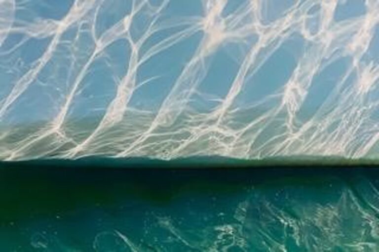 Water’s Awakening – A solo exhibition by photographic artist Clara Chiu