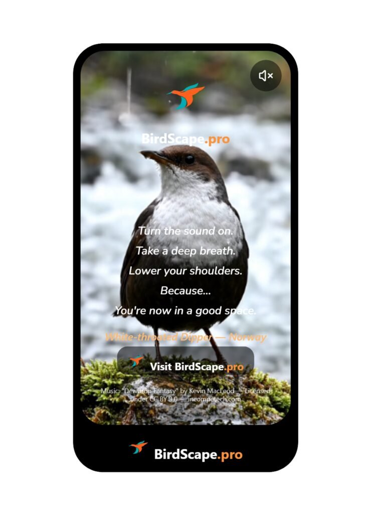 Are Your Days Ending in Stress?! BirdScape.pro Radio May Be Your Answer.